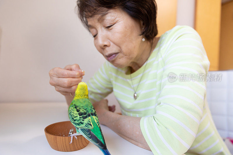 老女人和宠物鸟玩