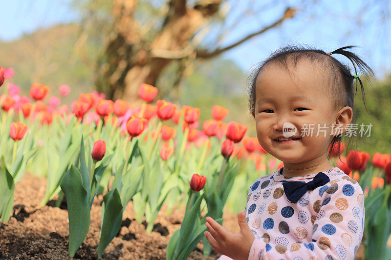 一个女孩和郁金香花。