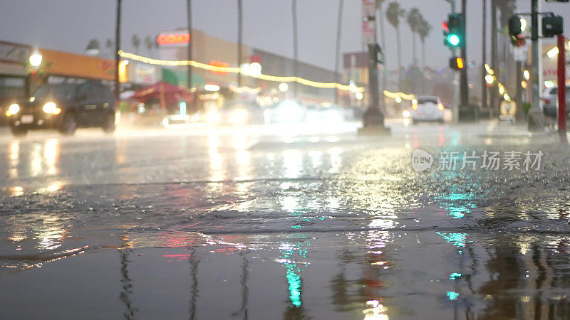 雨天道路上的灯光反射。棕榈树和降雨，加利福尼亚。