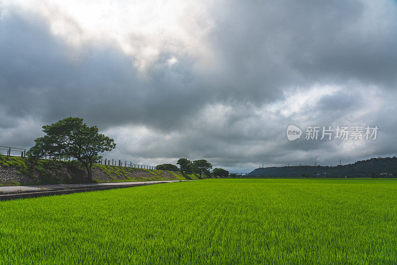 台中外浦-王游谷，千变万化的田野和云海。