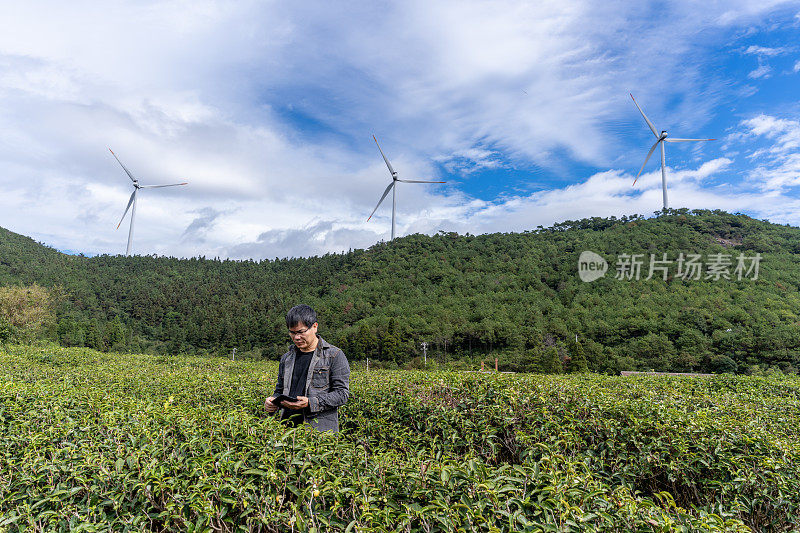一位亚洲男性农业技术人员使用平板电脑在一个有风力涡轮机的种植园工作