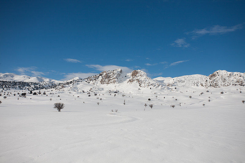 冬天下雪的场景