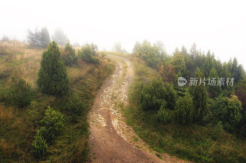 雾中的山路土路