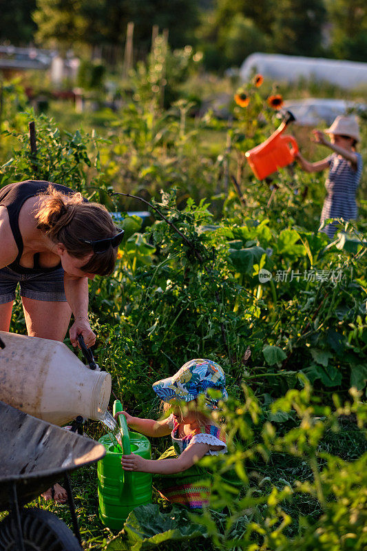 年轻的家庭准备在公共有机花园灌溉他们的田地