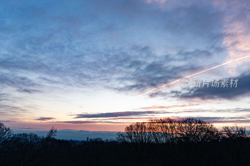 清晨粉红和蓝色的日出越过树木线，黑色剪影，伦敦，英国