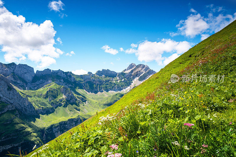 高脚山牧场