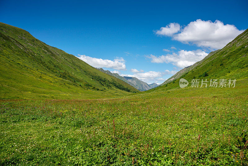 令人惊叹的夏季景观绿色高加索山脉在阳光灿烂的日子