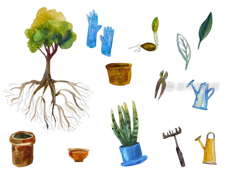 一套手绘孤立的水彩花园元素:植物，花盆，花园工具