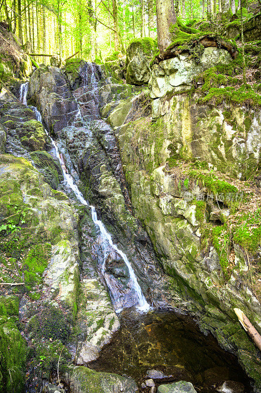 孚日瀑布中的瀑布位于森林景观中