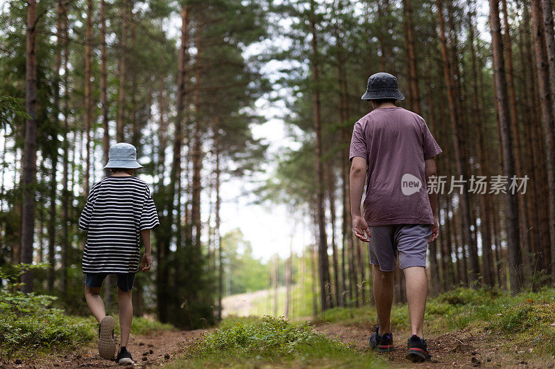 小男孩们在森林里散步