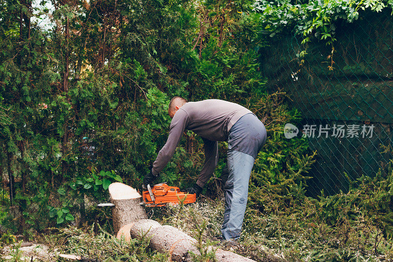 一个人正在砍树