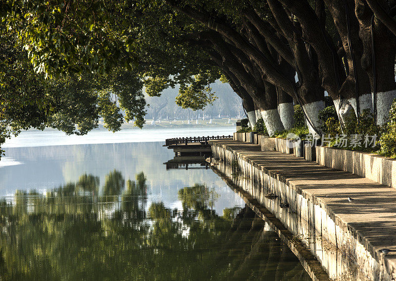 南京玄武湖的冬季风景