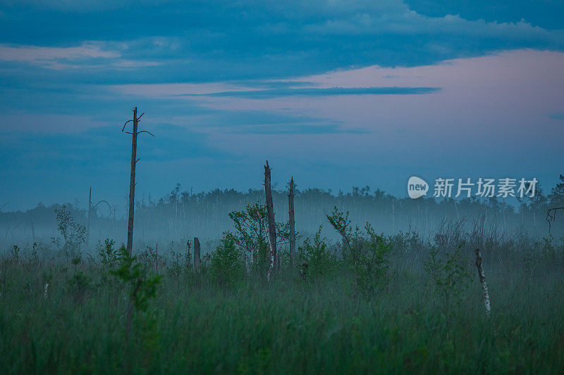 雾气笼罩着草地。晚上的天空。