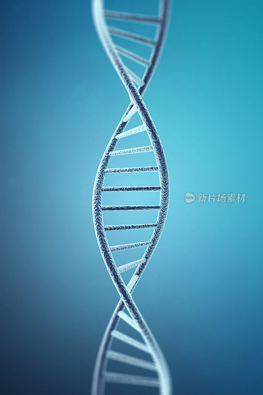 概念数字插图DNA结构。三维渲染