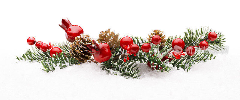 圣诞红莓枝装饰，节日圣诞莓雪
