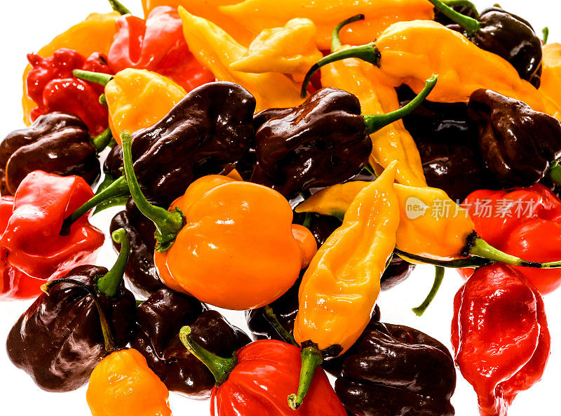 不同品种的辣椒或红辣椒，孤立上白。