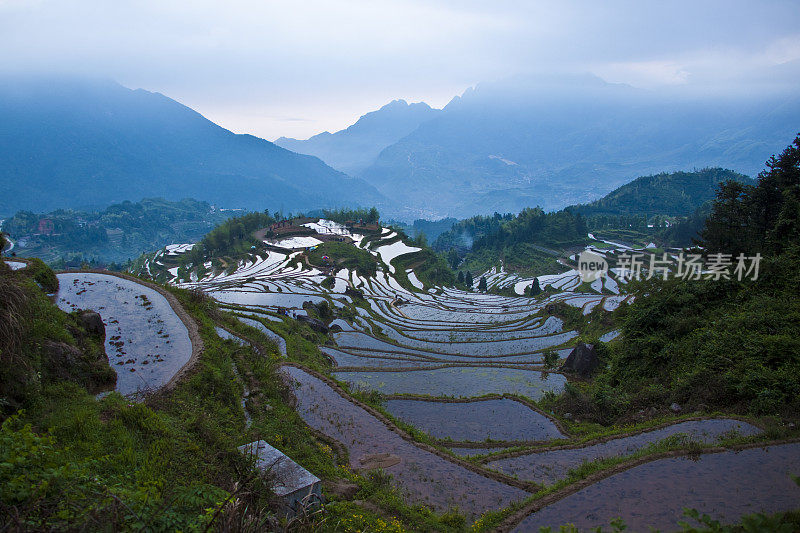 景观:美丽的梯田，云河，丽水，中国