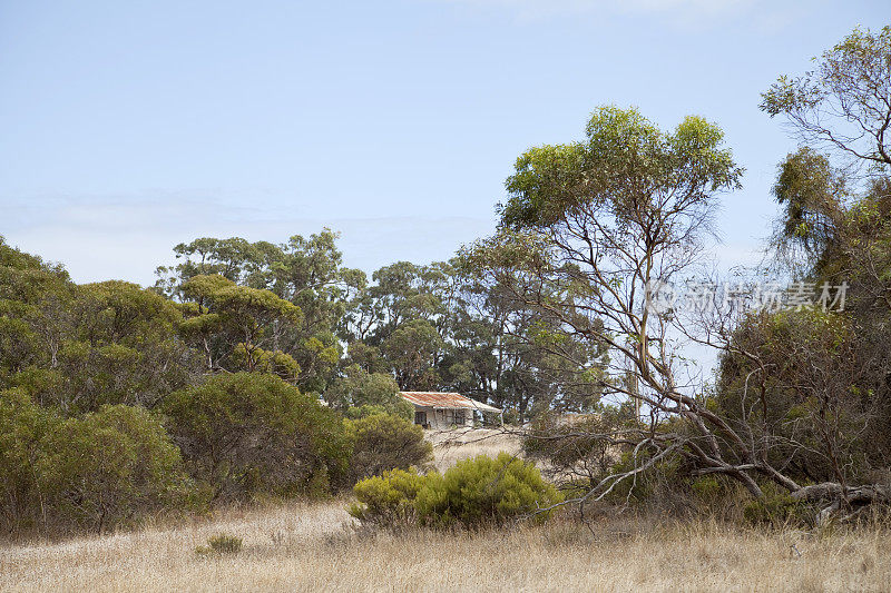 澳大利亚灌木丛中的农舍废墟
