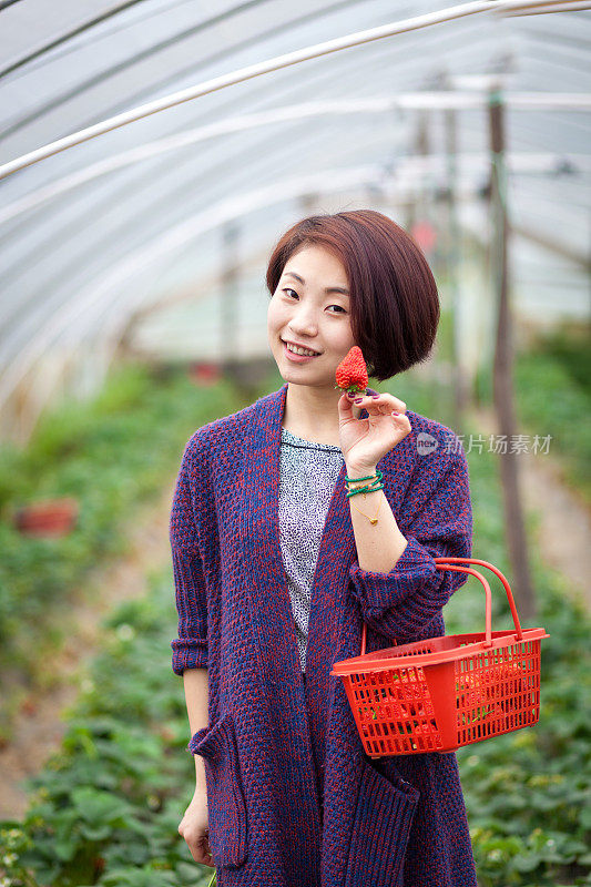 一个亚洲女孩站在草莓地里，吃着新鲜的水果