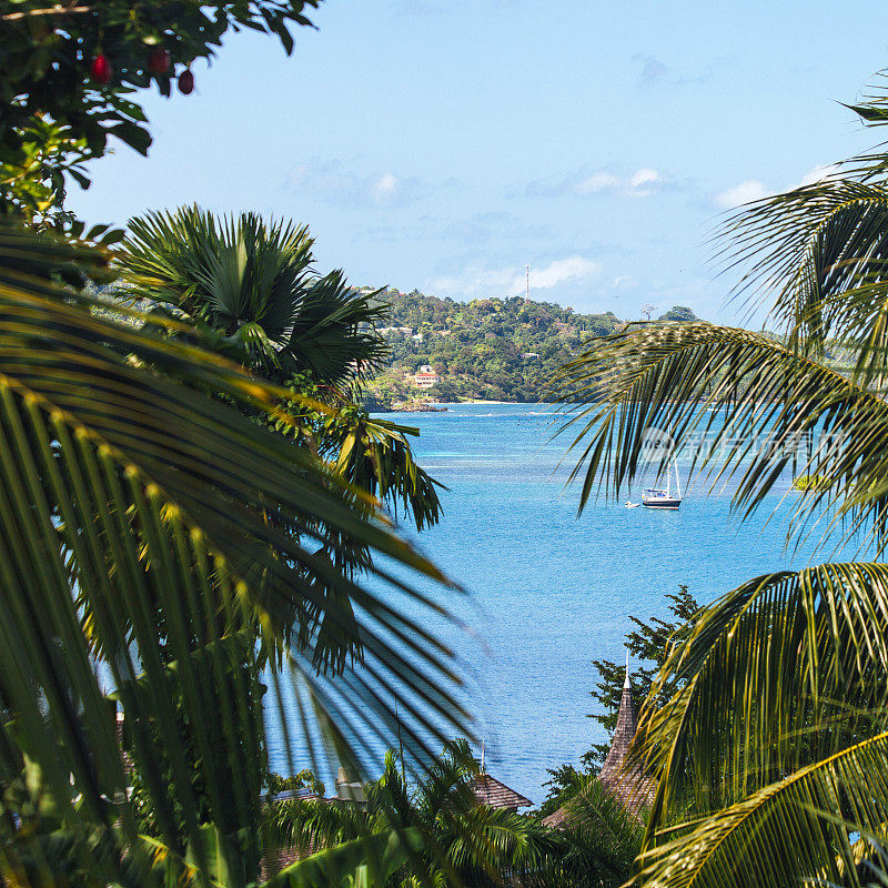 加勒比海的观点。安东尼奥港,牙买加。