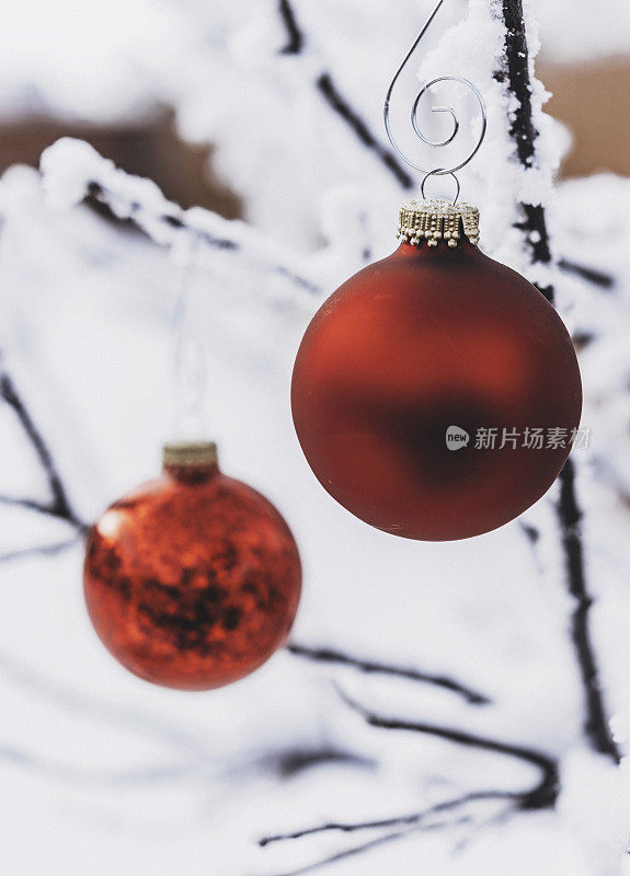 鲜红的圣诞装饰物挂在外面白雪覆盖的树上