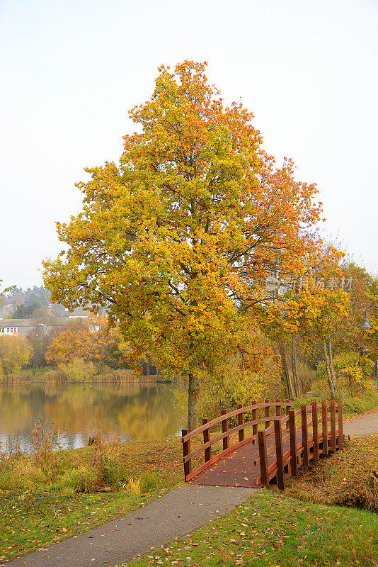 秋天的湖上有桥