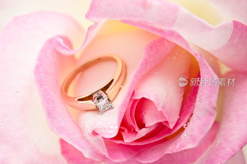 钻石订婚戒指藏在粉红玫瑰里