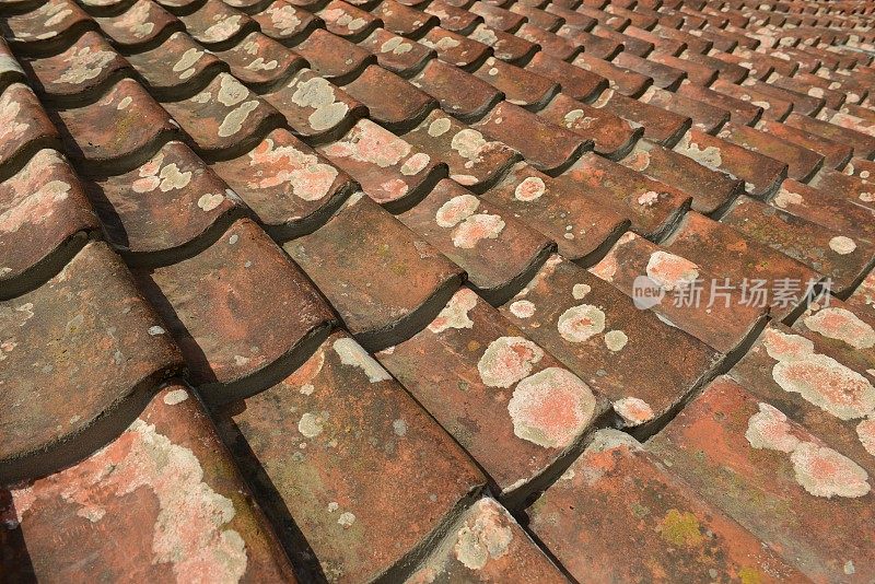 英国泽西岛的盘状石板屋顶