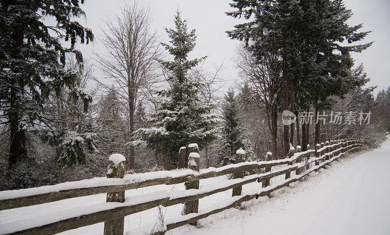 雪中的雪松栅栏