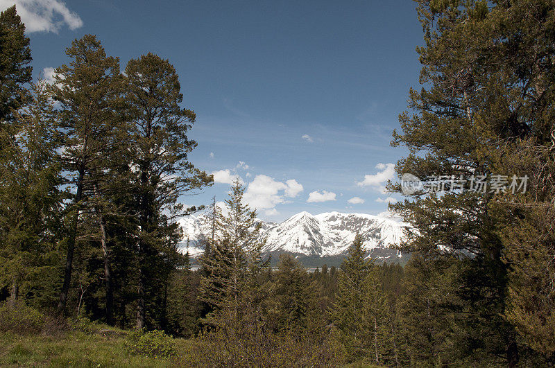 美国怀俄明州的森林和山脉大提顿国家公园