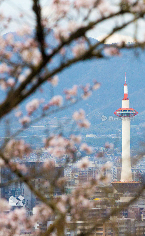 日本本州的京都塔