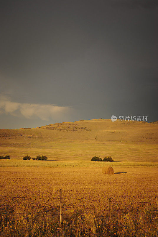 暴风雨天空下的蒙大拿干草田