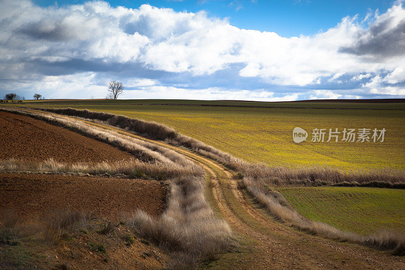 道路和景观