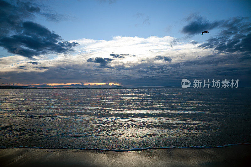 风景秀丽的斯旺西海滩塔斯马尼亚黄昏