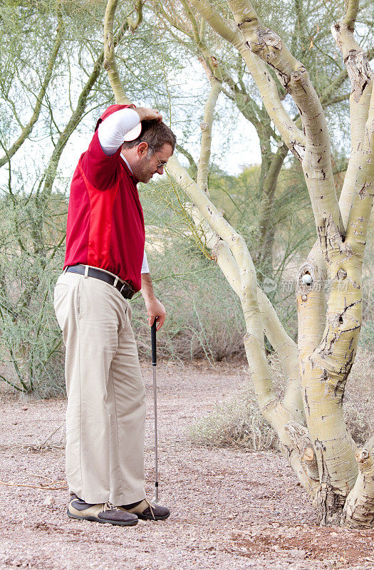 高尔夫球手与高尔夫球卡在树上