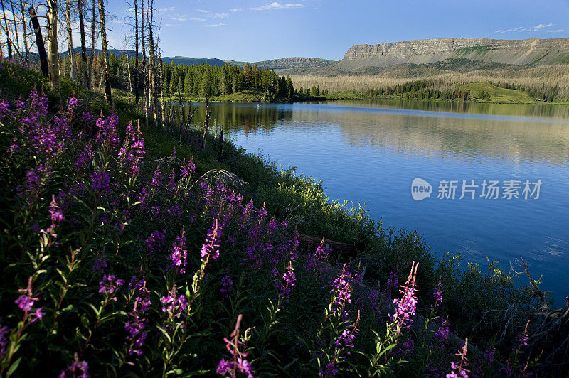 飞渔夫浮在风景优美的高山湖上的船