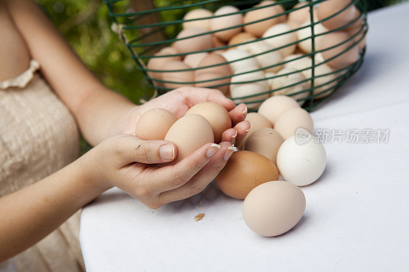农场里的女孩拿着鸡蛋