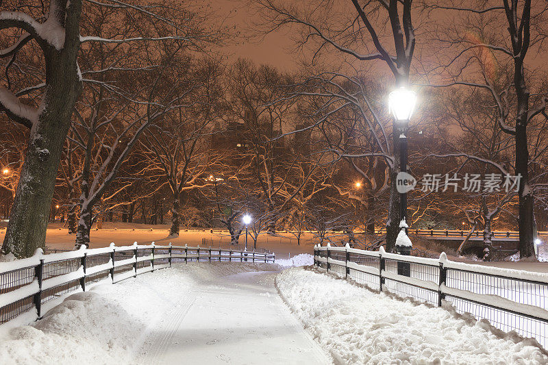 中央公园晚上被雪覆盖
