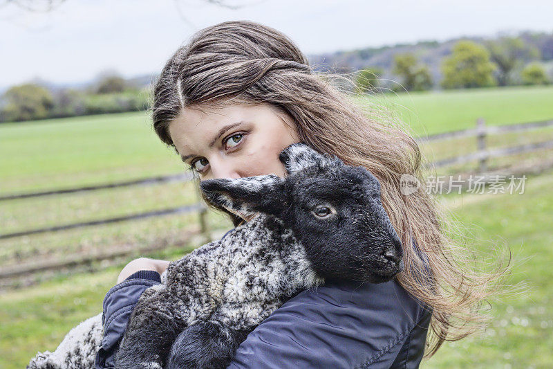 俄罗斯户外女孩抱着羔羊