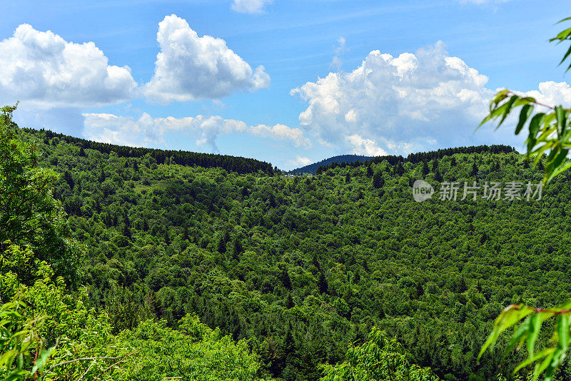 阿巴拉契亚山脉夏季