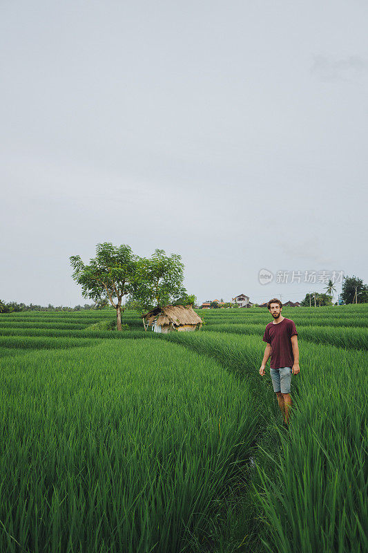 印度尼西亚巴厘岛Tegallalang稻田上的男子