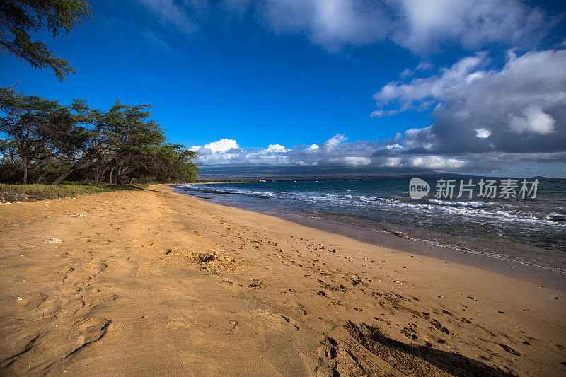 晴朗的夏威夷海滩