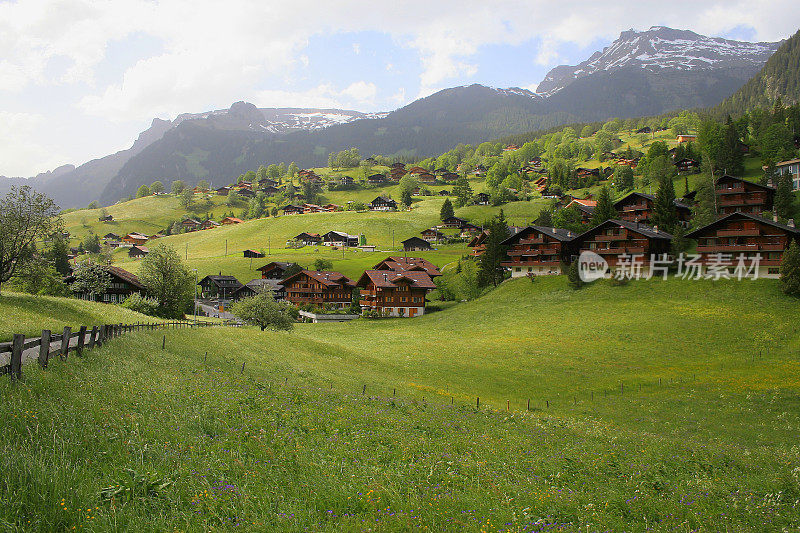 童话般的风景:田园诗般的格林德沃阿尔卑斯村，乡村小木屋的城市景观，春天的山谷和草地，戏剧性的瑞士雪山，田园诗般的乡村，伯恩斯高地，瑞士阿尔卑斯山