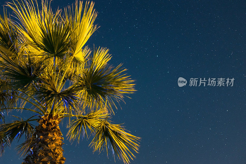 夜空中有许多闪亮的星星和手掌，自然的星空背景