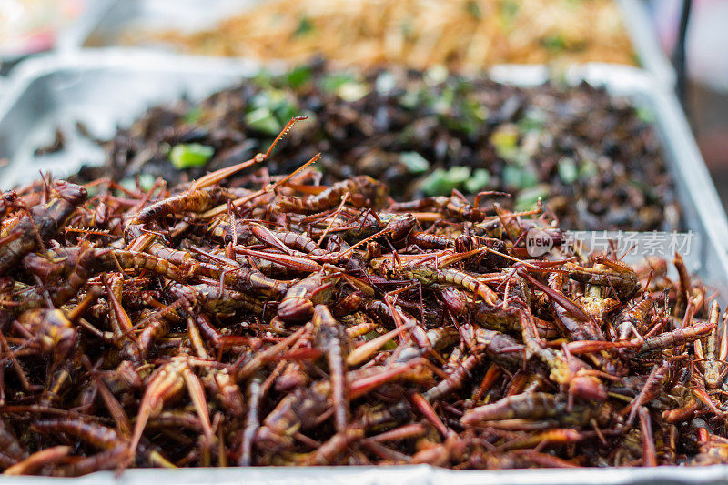 炸昆虫——蚱蜢虫酥脆，泰国食品