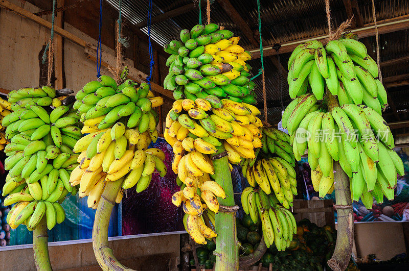 菜店里的黄香蕉和绿香蕉。斯里兰卡的街头贸易。