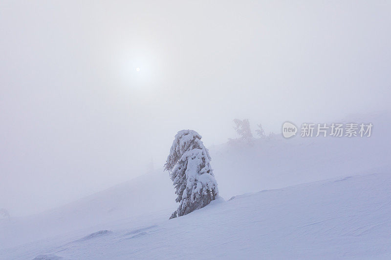 喀尔巴阡山脉有暴风雪