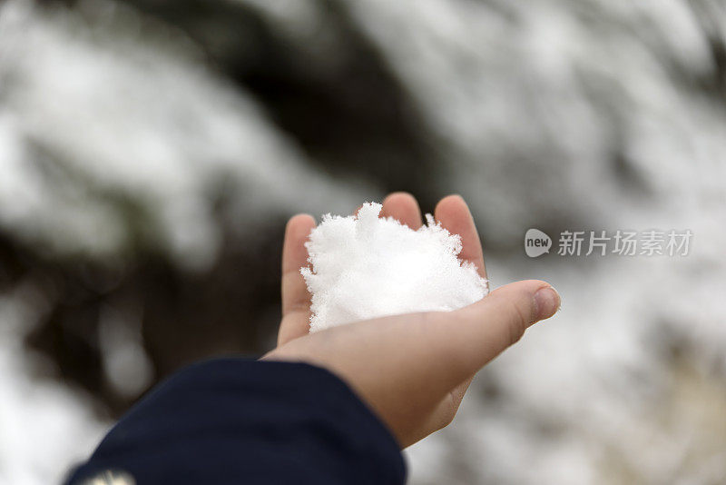 一个年轻女孩的手掌上的雪