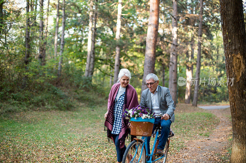 美丽的白种老夫妇在秋天的公园里