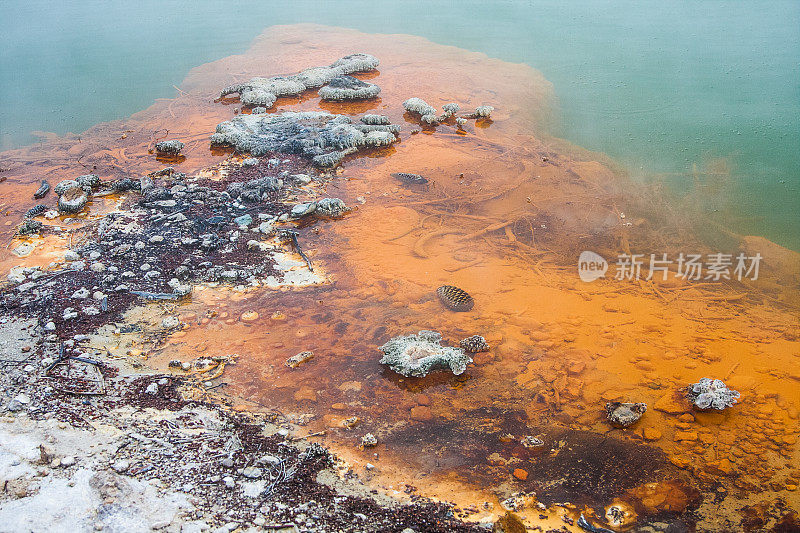 罗托鲁瓦的香槟池